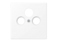 Centre plate for SAT-TV-FM socket