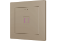 Zennio Tecla RGB 55  1 button Champagne - ZVITR55x1C